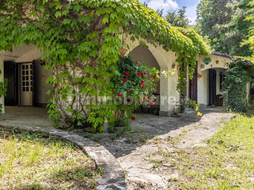 Giardino