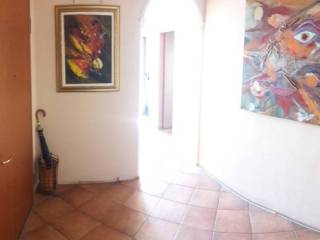 Ingresso