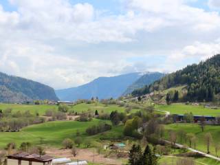 Vista
