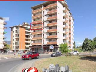 Zona