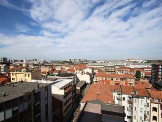 Vista