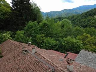 Vista