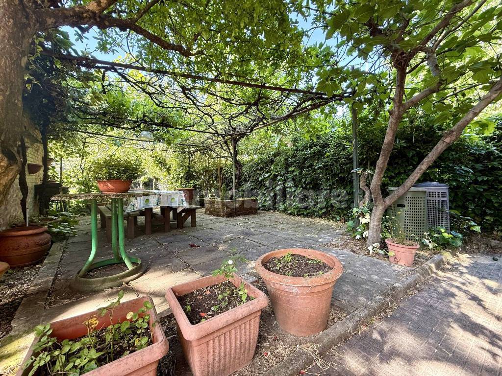Giardino