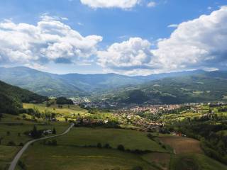 Vista