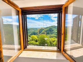 Vista