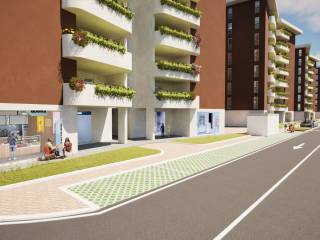 Zona