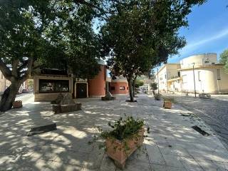 Zona