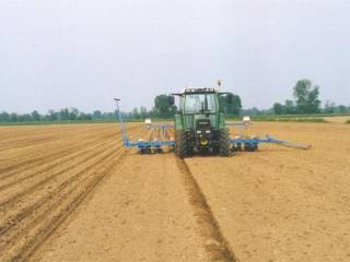Terreno
