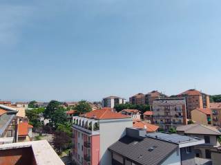 Vista