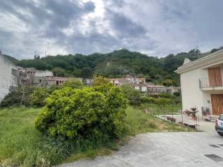Zona