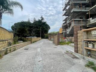 Zona