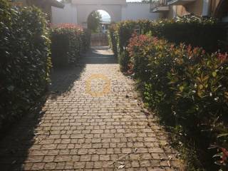 Ingresso