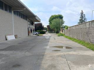 Zona