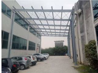 Zona