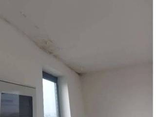 Altro