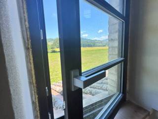Vista