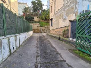 Zona