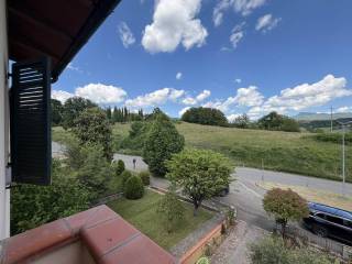 Vista