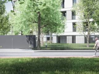 Zona