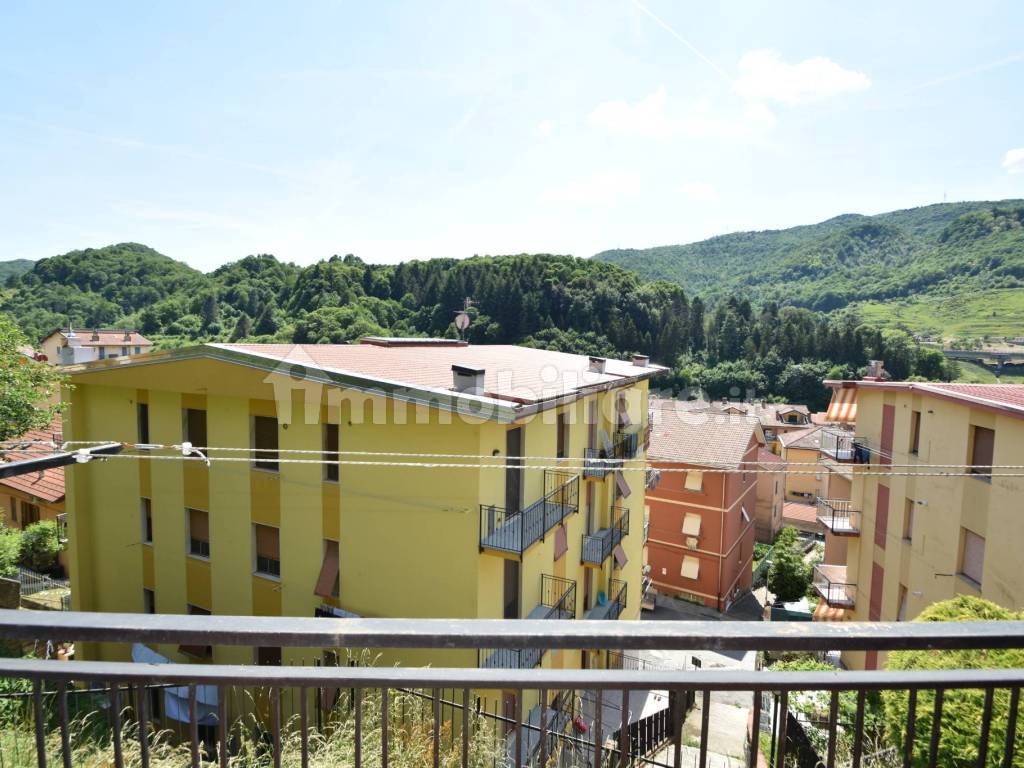 Vista