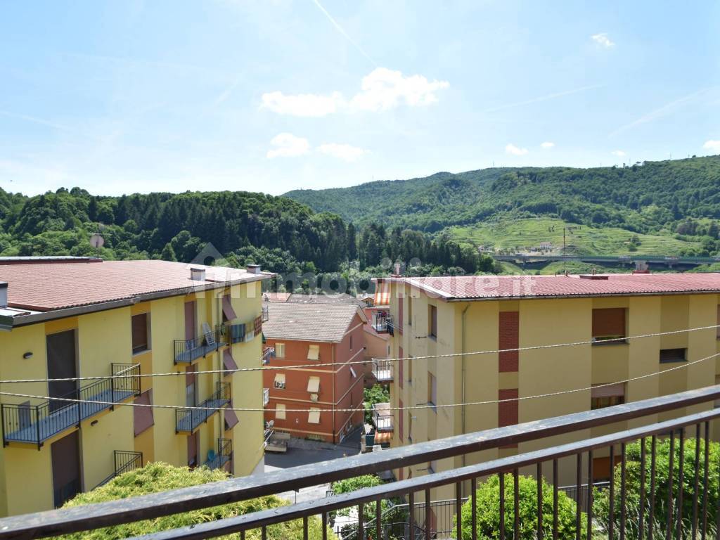 Vista