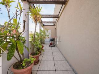 Terrazzo
