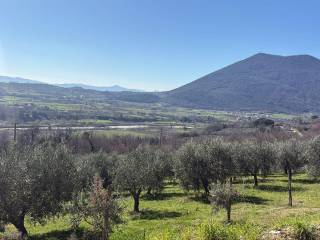 Vista