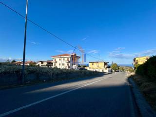 Zona