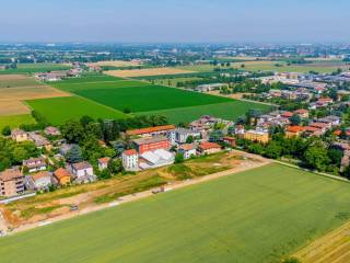 Vista