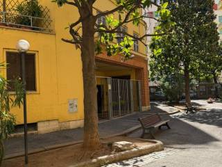 Zona