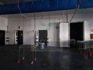 Magazzino