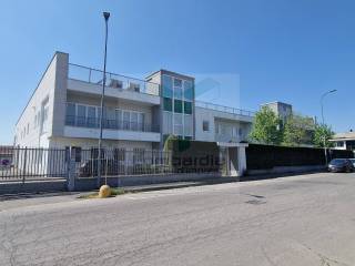 Zona