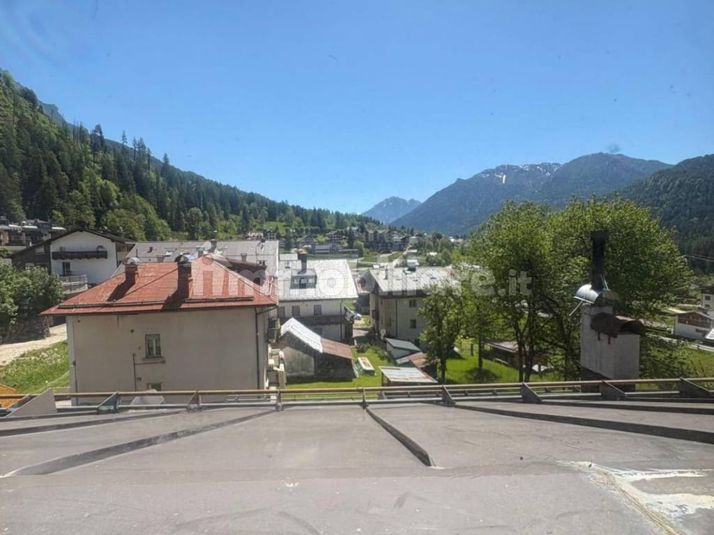 Vista