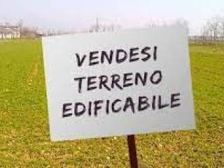 Zona