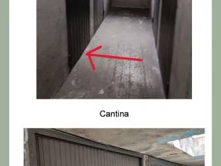 Cantina