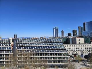 Vista