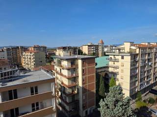 Vista
