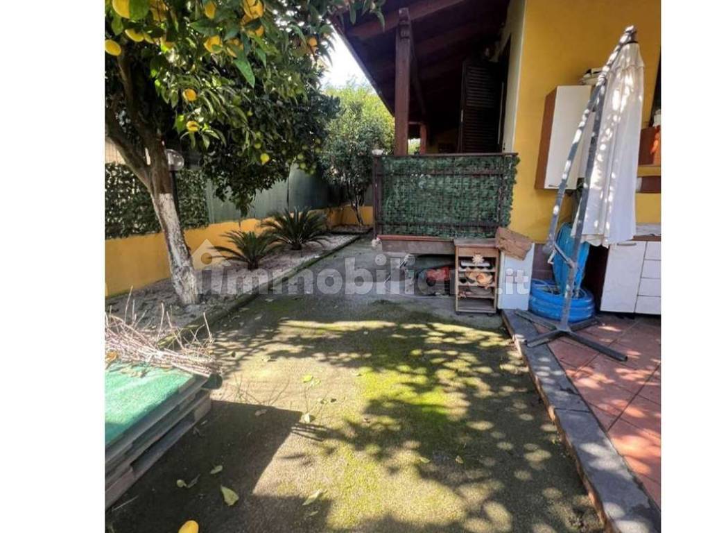 Giardino