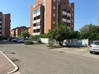 Zona
