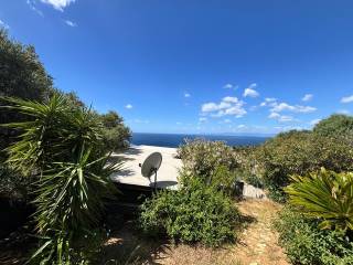 Vista
