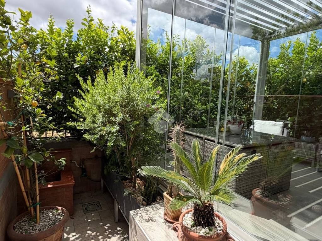 Giardino