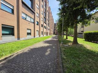 Zona