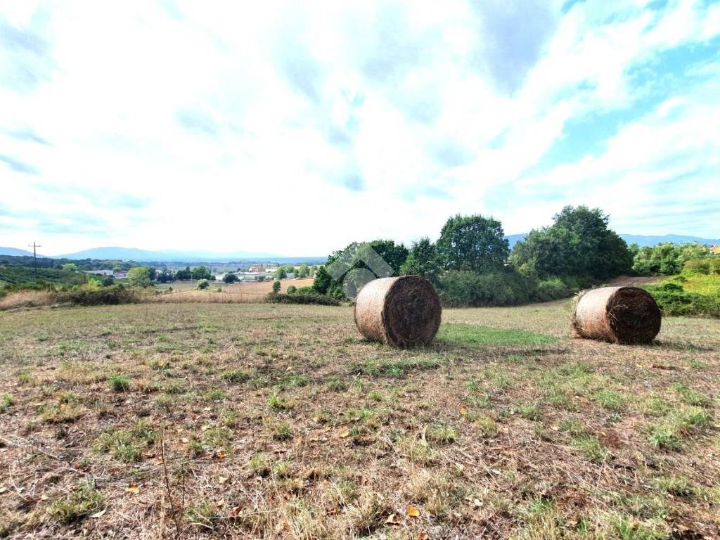 Terreno