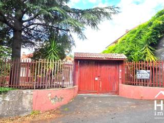 Zona