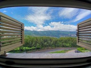Vista