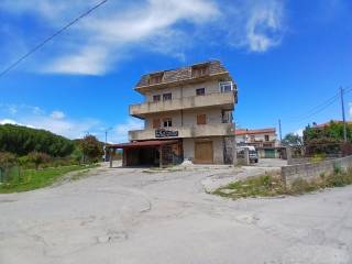 Zona