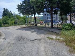 Zona
