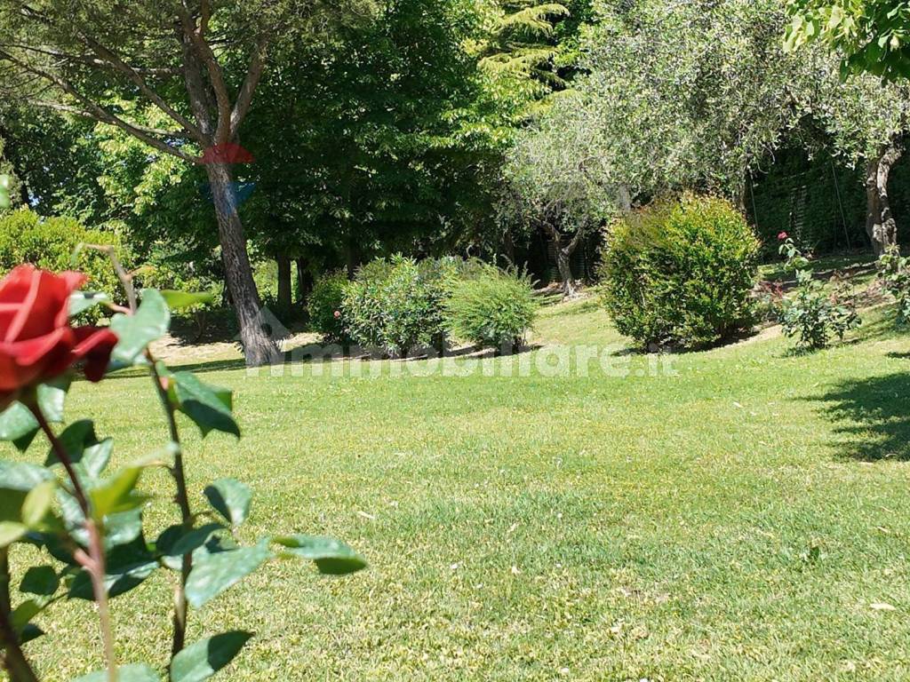 Giardino