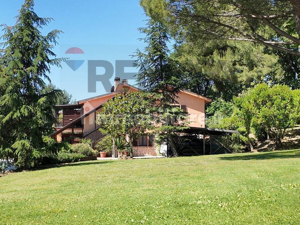 Giardino