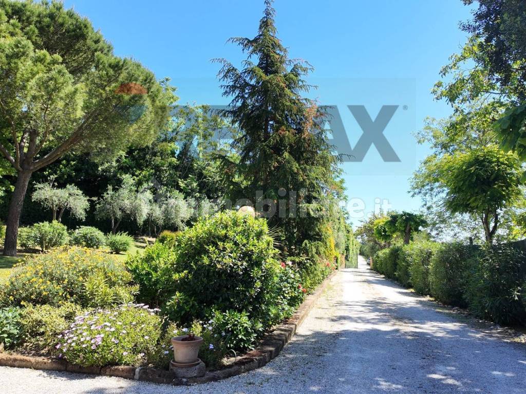 Giardino